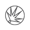 solution-icon